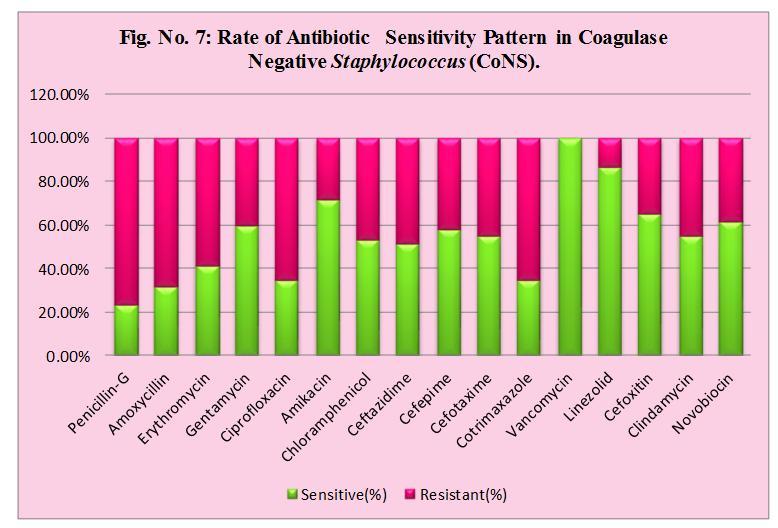 schleiferi were 100% sensitive to Vancomycin, Novobiocin, Amoxicillin, Amikacin, Gentamycin, Linezolid, Cefoxitin, Clindamycin, Erythromycin and Chloramphenicol followed by Cefepime, Ceftazidime,