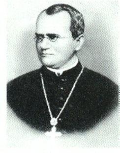Gregor Mendel the Father of