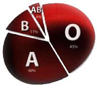 Humans can be 1 of 4 blood types. A and B are codominant and O is recessive.