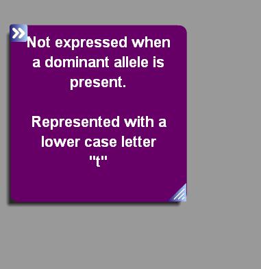 There are 2 forms of Alleles DOMINANT RECESSIVE How MENDELIAN GENETICS works Each allele for a gene is represented by a letter.