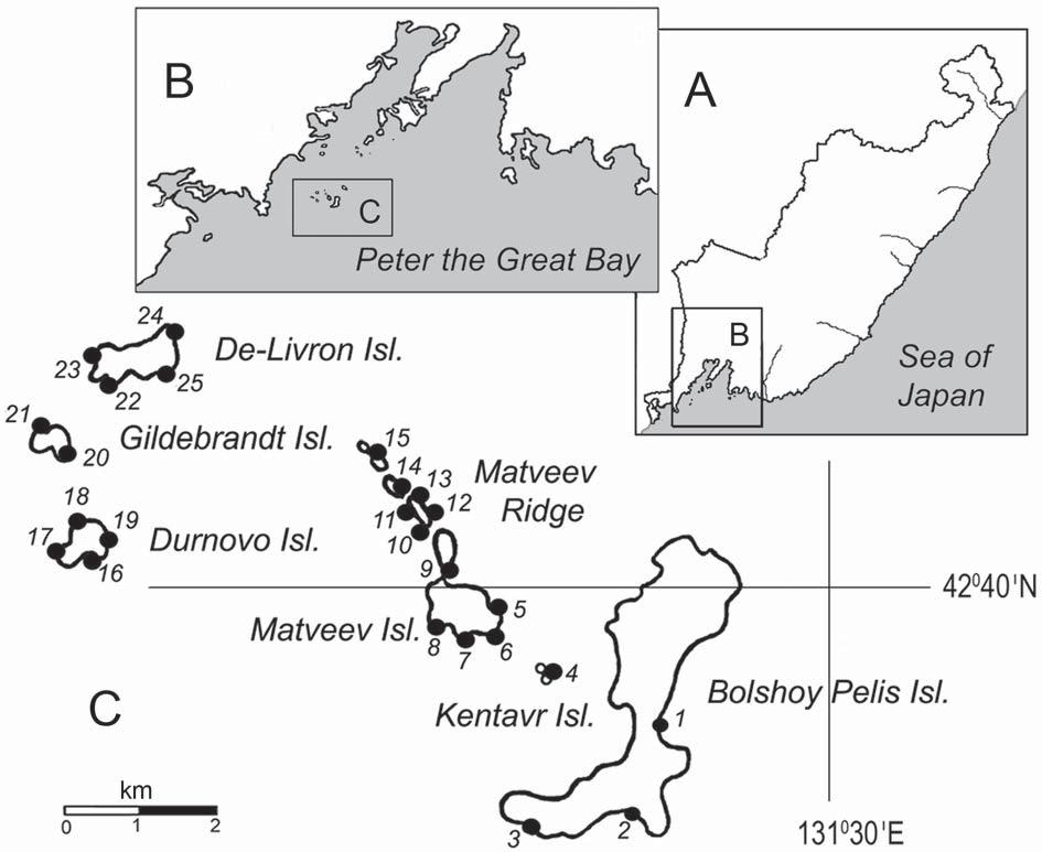 164 V.A. Nesterenko & I.O. Katin Figure 1. Location of spotted seal haulout sites on the islands of the Rimsky-Korsakov Archipelago (C) in Peter the Great Bay (B) of the Sea of Japan (A).