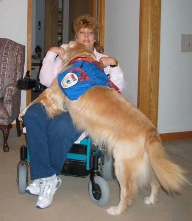 Assistance Dogs Leader Dogs or Guide Dogs for the Blind