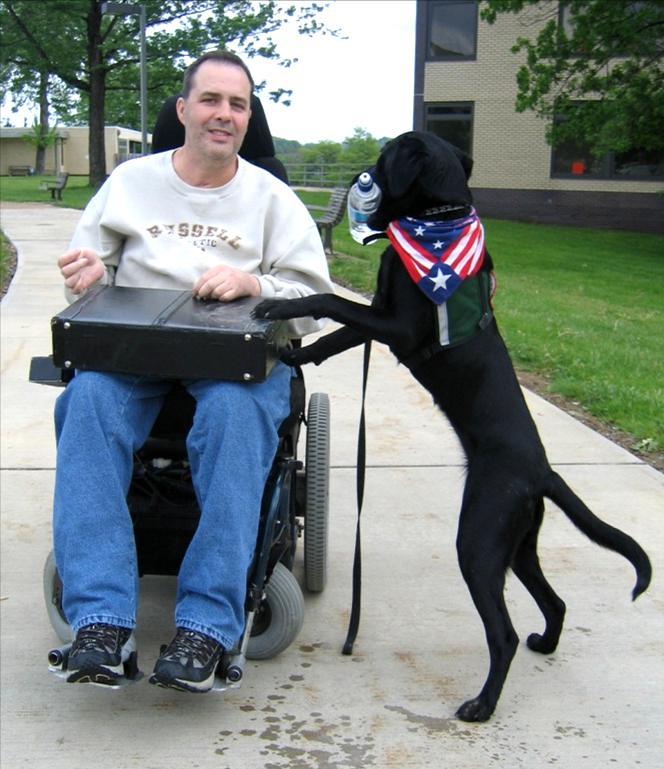 Service Dogs as Interfaces Service dogs help to overcome this problem by: Being able