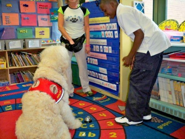 Social and Classroom Behaviors How dogs may impact social competence for elementary students: A dog s daily