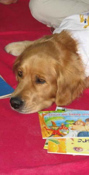 Conclusions from the study? Reading to dogs was beneficial for reading rate, accuracy and comprehension. Considerations: Applies to poor readers in 3 rd grade.