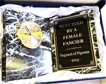 AWARDS Chris Harris Award Best Pigeon By A Female Fancier All female fanciers are eligible to bring one bird up for judging on Saturday.
