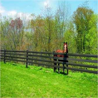 HORSE FENCES & CORRALS Almost any variation of split rail or slat fence is acceptable.
