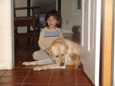 Household members: Adults, children, and other pets Controlled interactions with children (and