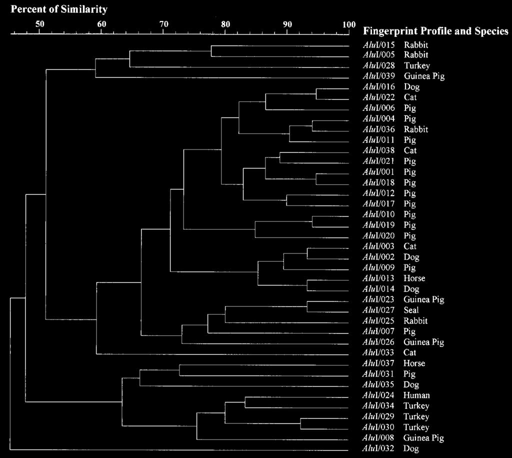 org/ on July 17, 2018 by guest FIG. 4. Dendrogram showing percent similarity among B. brochiseptica isolates using AluI restriction endonuclease digestion of chromosomal DNA.