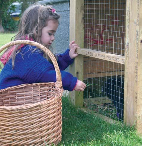 Housing Whether your rabbits live indoors or outside, a hutch is the perfect home. But there are many designs, shapes and sizes, so choosing the right one is essential.