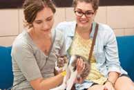 About Animal Humane Society As the leading animal welfare organization in the Upper Midwest, Animal Humane Society (AHS) is transforming the way shelters care for