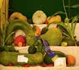 2017 ORANGE SHOW SAT 13th & SUN 14th May SECTION L VEGETABLES CHIEF STEWARD: Nyasa Phillips and Bettina O Callaghan JUDGE: TBA ENTRY FEES: To be paid upon delivery of entry Open classes $1