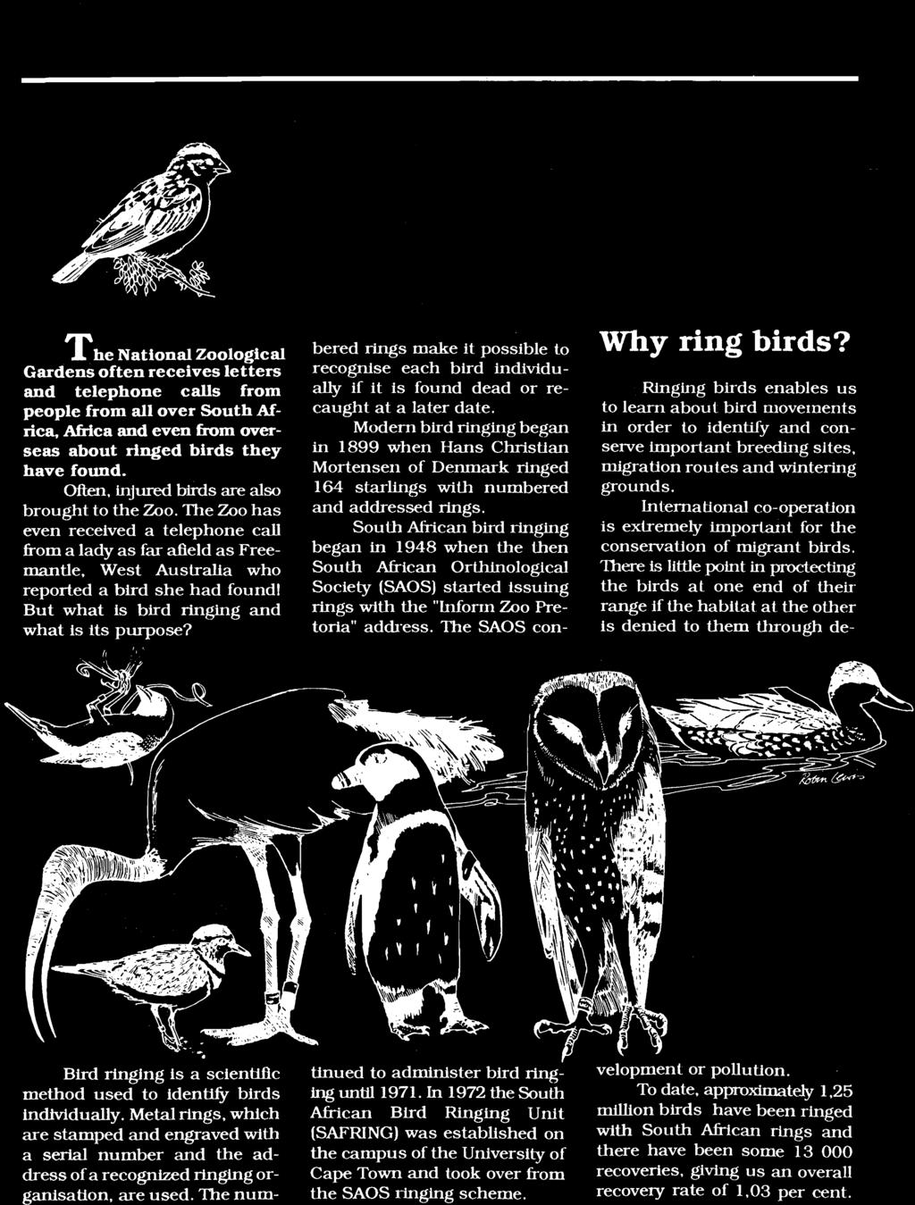 West Australia who reported a bird she had found I But what is bird ringing and what is its purpose? Why ring birds? Bird ringing is a scientific method used to identify birds individually.