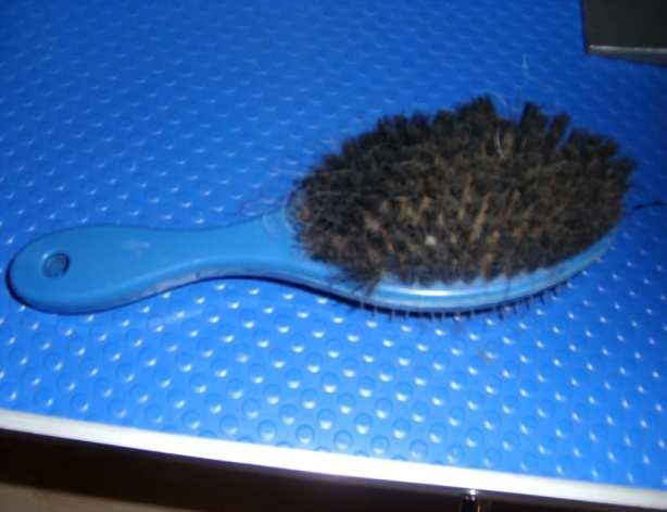 The slicker is considered an all-purpose brush that can be used on everything except very short coats found on breeds like greyhounds and Dalmatians.