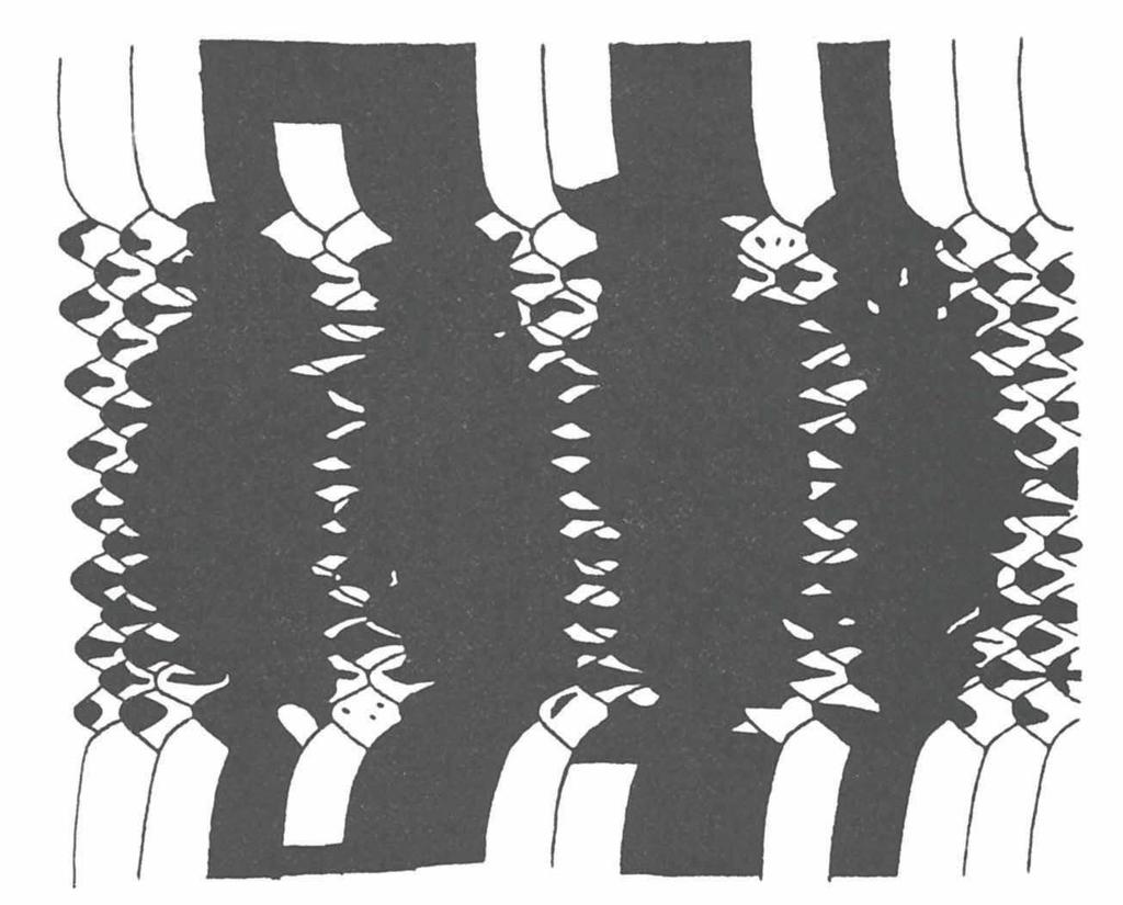 HOOGMOED, REVISION OF SURINAM ATRACTUS 15 followed by a black band across the neck. Body with 49 wide black and 48 narrow creamish cross-bands.