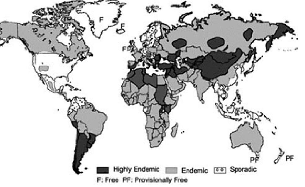 Eggs are infective to the intermediate hosts immediately after excretion from the definitive host into the external environment (John et al., 2006). 2.5. Epidemiology 2.5.1. Geographic Distribution E.