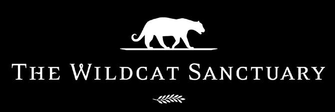 Jaguar Diablo Guapo Cougar Raja & Liberty Miion: Provide natural anctuary to wild cat in need and inpire