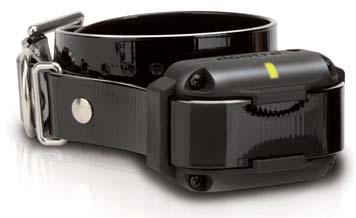 EDGE The EDGE is a fully customizable/expandable e-collar designed for professionals and