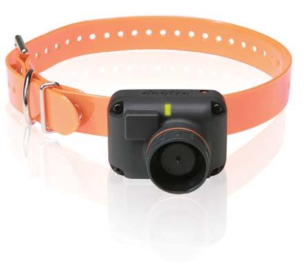 2500T&B The next generation of compact training & beeper collars, designed for the serious upland hunter.