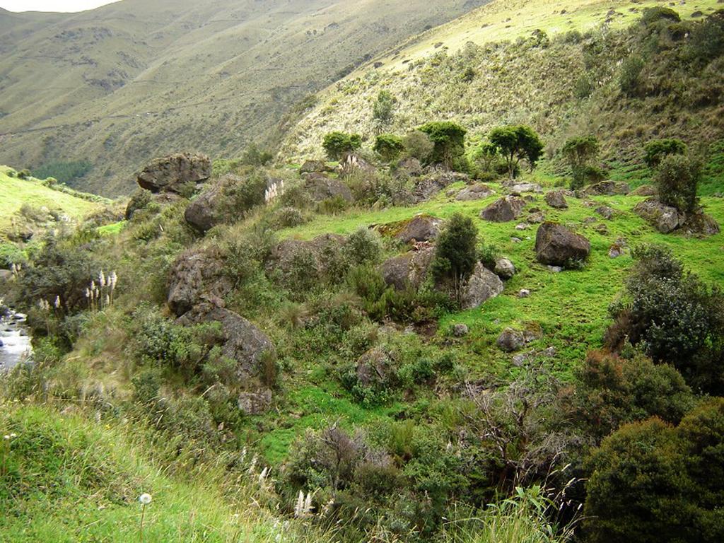FIGURE 5. General view of the habitat in the type locality of Philodryas amaru, situated in Soldados, San Joaquin, Province of Azuay, Ecuador. Photograph from E. Arbeláez and A. Vega.