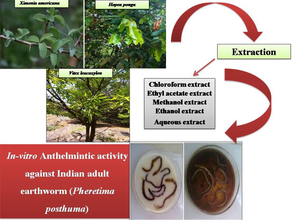 8. Ali SS, Kasoju N, Luthra A, Singh A, Sharanabasava H, Sahu A, et al. Indian medicinal herbs as sources of antioxidants. Food Res Int. 2008;41(1):1-15. https:// doi.org/10.1016/j.foodres.2007.10.001.