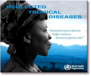 The list of Neglected Tropical Diseases Helminth Infections Protozoan Infections Soil-transmitted helminth infections Leishmaniasis (Ascariasis, Trichuriasis, Hookworm infection) Human African