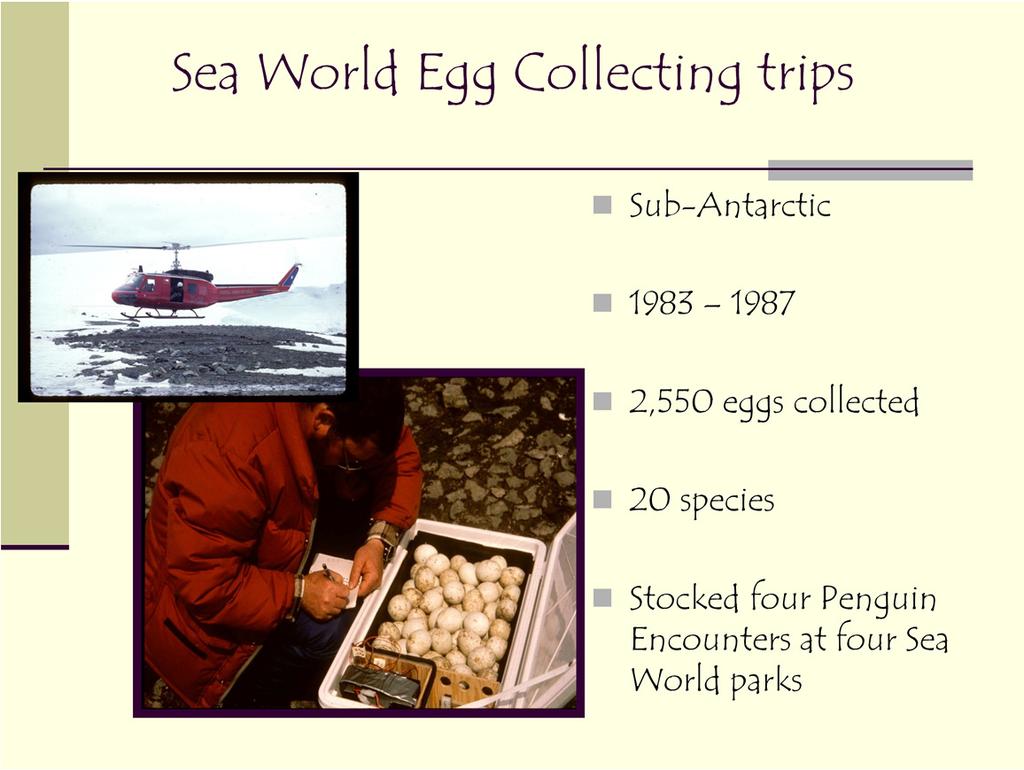 All of the SeaWorld egg collecting trips took place in the sub-antarctic islands