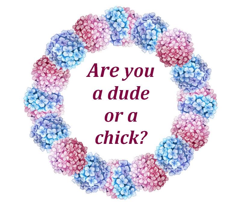 What sex are my chicks? It is something that can prove quite difficult with some breeds and very easy with others.