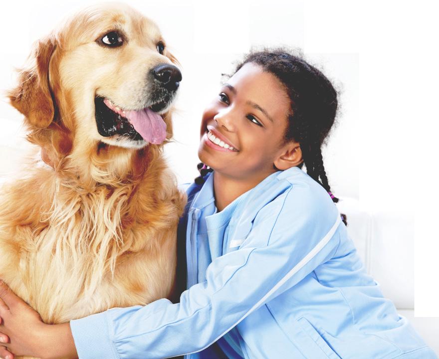NURTURE THE BOND: Managing Patient Comfort in Chronic GI and CKD Cases Chronic diseases of the gastrointestinal (GI) and renal systems, such as parvovirus, pancreatitis, and chronic kidney disease