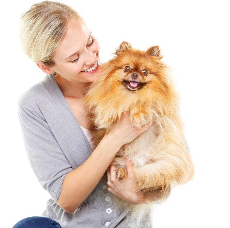 NURTURING THE BOND: Helping Owners Cope With Motion Sickness and Noise Aversion Nausea/vomiting and fear- or anxiety-based behavior can fracture the human animal bond.