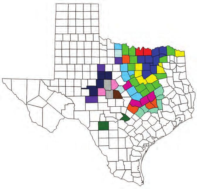 Figure 1. Progression of Hessian fly across Texas wheat-producing regions. 1978 1992 1984 1994 1985 1995 1986 1997 1987 1998 1988 2003 1989 2004 1990 Illustration 1. Hessian fly life cycle.