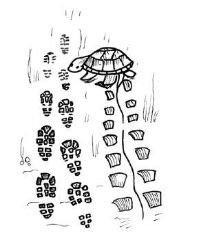 DEMONSTRATING THE LEARNING making your own footsteps 1. O TURTLE, WHERE ARE YOU? Use the O TURTLE, WHERE ARE YOU? quiz sheet.