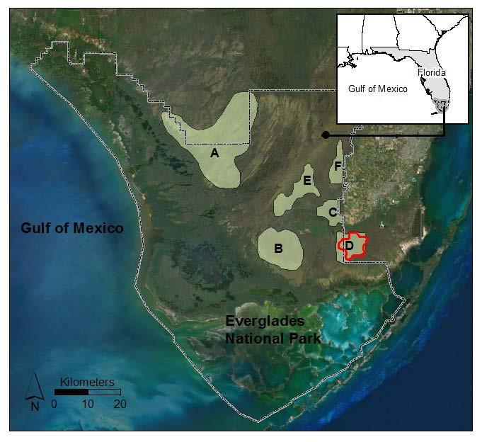 Figure 2.2: Cape Sable seaside sparrow (CSSS) distribution in the Florida Everglades.