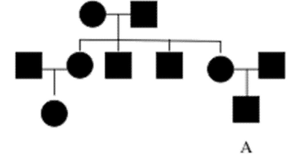 30. What is the probability that individual A is a heterozygous with respect to the condition depicted in the pedigree? A) 0% B) 25% C) 50% D) 75% E) 100% Answer: E 31.