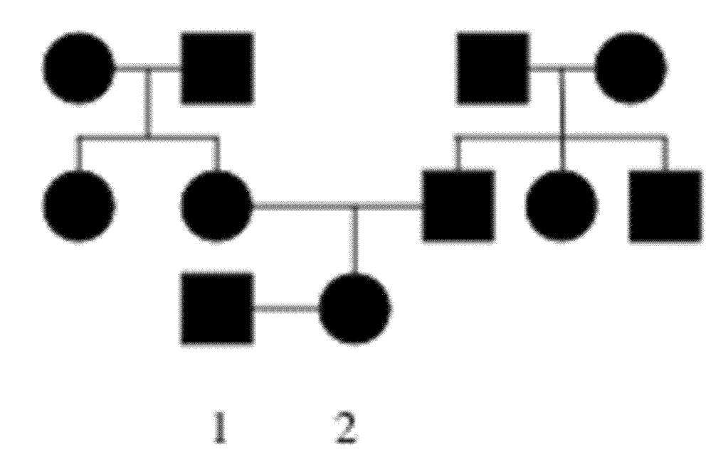 51. Below is the pedigree of a family where some individuals are affected with a mild condition of the skin.