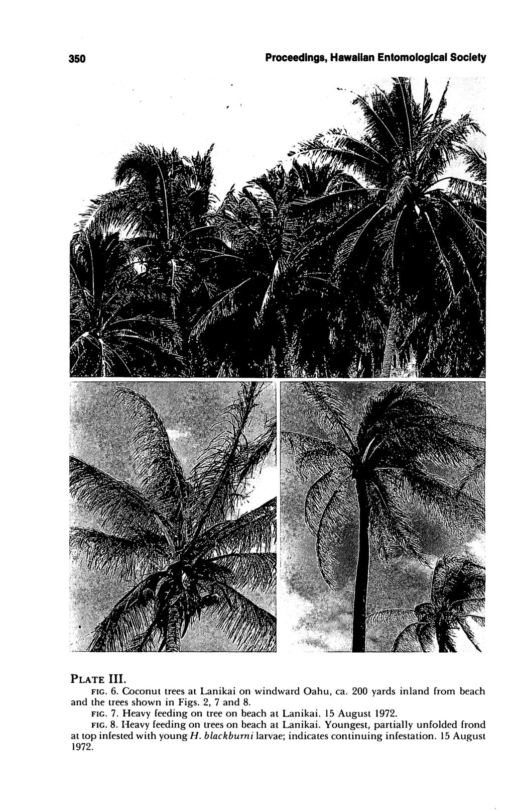 350 Proceedings, Hawaiian Entomological Society Plate III. fig. 6. Coconut trees at Lanikai on windward Oahu, ca. 200 yards inland from beach and the trees shown in Figs. 2, 7 