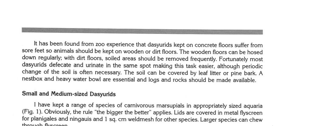 It has been found from zoo experience that dasyurids kept on concrete floors suffer from sore feet so animals should be kept on wooden or dirt floors.