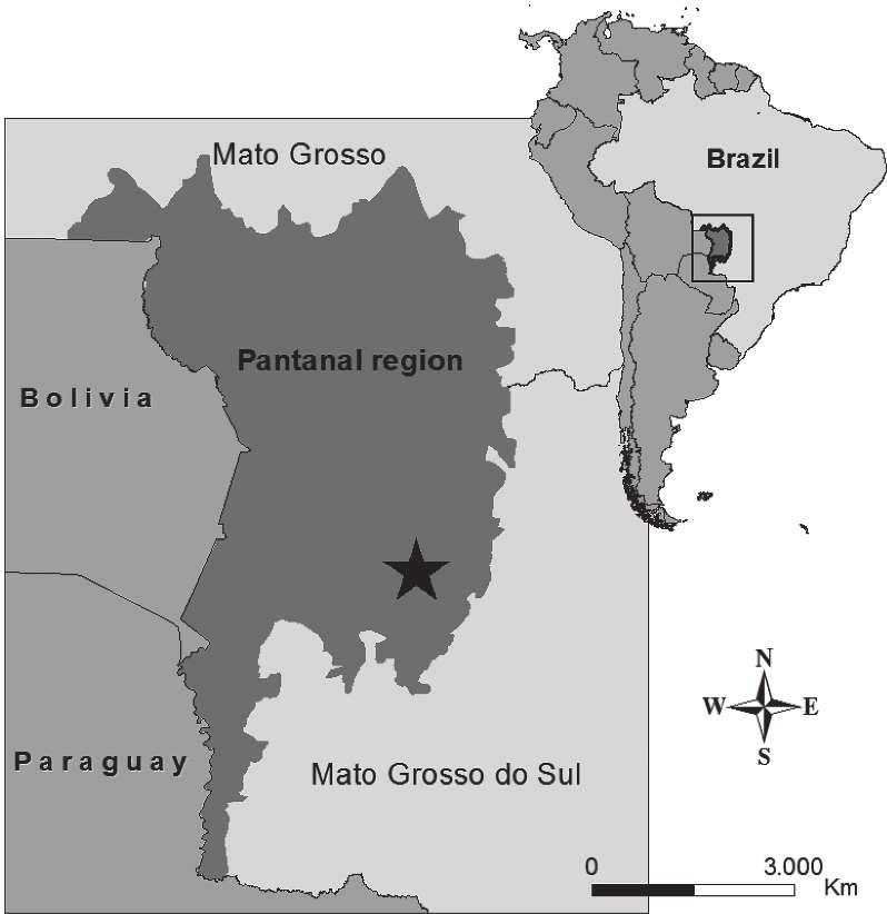 SHORT COMMUNICATIONS 383 FIG. 1. Map depicting the region of the Brazilian Pantanal, on the border Brazil-Bolivia-Paraguay.