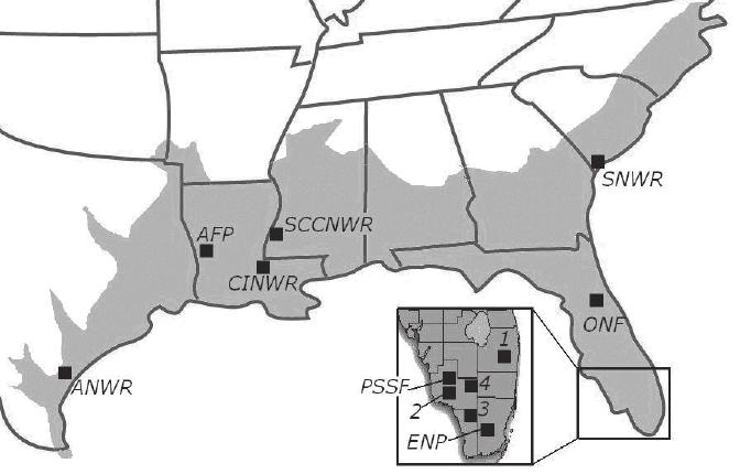 Figure 1. Study sites in the southeastern United States. Sites of regular observations: 1 Arthur R.