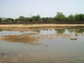 urban environments (45). An. arabiensis breeds primarily in still water bodies, such as ponds, swamps and wells. During the dry season, An.