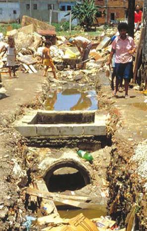 Typical breeding sites are soakaway pits, septic tanks, pit latrines, blocked drains, canals and abandoned wells.