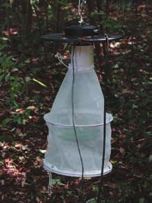 42 Vector sampling methods 5.1.4 Attractant traps Attractant traps consist of baited traps containing light, CO 2 or chemical attractants.