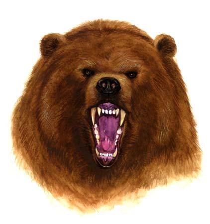 This is a Bear This is a. bear It has teeth. It is smart. It seems mad. Is it mad? What will this bear do?