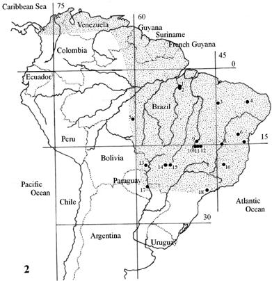 Distribution and morphometrics of Natalus stramineus from South America... 129 Fig. 2.
