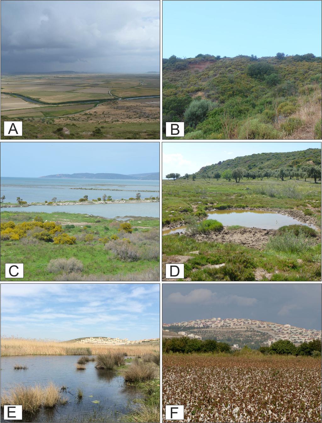 4 Dilara Arslan et al. Figure 2. Major habitats from Gediz Delta (Western Anatolia, Turkey).