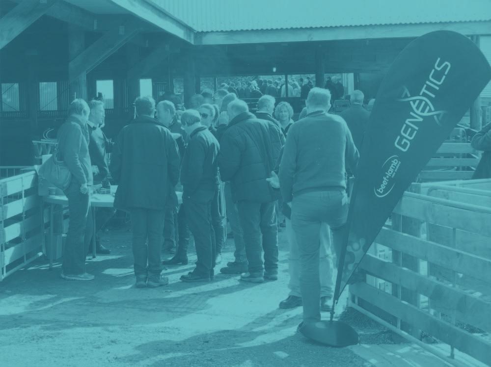 SHEEP BREEDER FORUM NAPIER, JULY 015 About 100 breeders attended this year s Beef + Lamb New Zealand (B+LNZ) Genetics