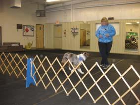 Recent Dog Activities Nancy Brunswick demos Canine Freestyle at our April meeting.