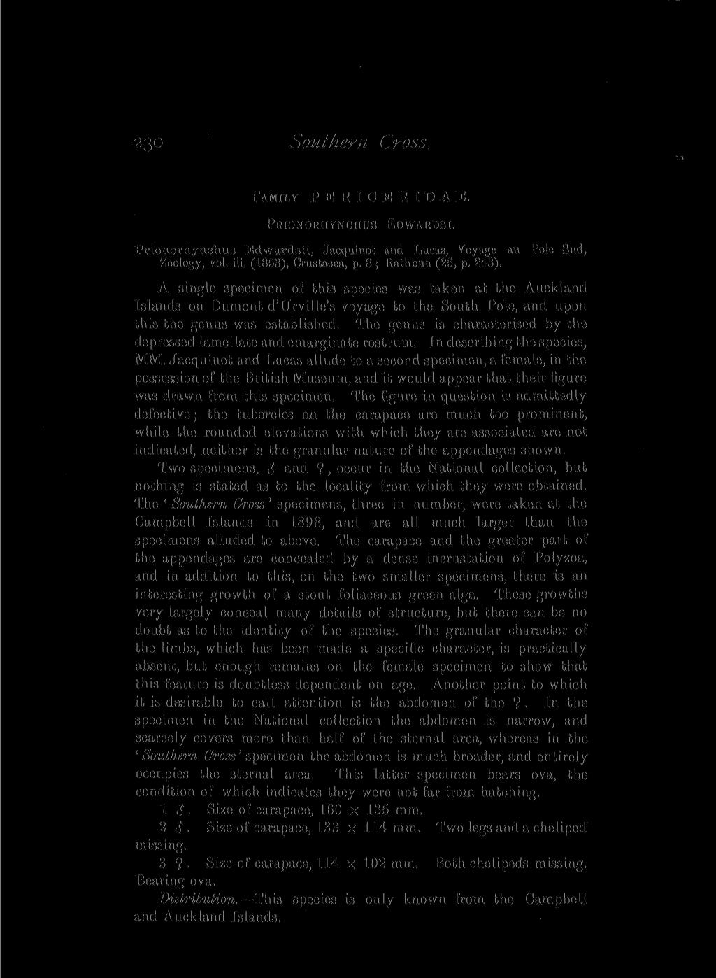 230 Southern Cross. FAMILY P E R I C E R I D A E. PRIONORHYNCHUS EDWARDSI. Prionorhynchus Edwardsii, Jacquinot and Lucas, Voyage au Pole Sud, Zoology, vol. iii. (1853), Crustacea, p.