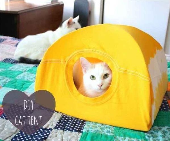 T-Shirt Cat Tent 2 Cat Tents = 2 hrs.) Ever go looking for your cat and they re nowhere to be found? Cats love a nice hiding place, or dark cozy space to sleep safe and soundly!