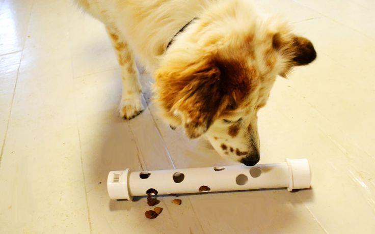 PVC Treat Stick (6 Sticks = 2 hrs.) Here s a way to excite any dog, and even keep them busy for a while!